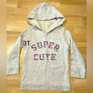3t Hooded pullover